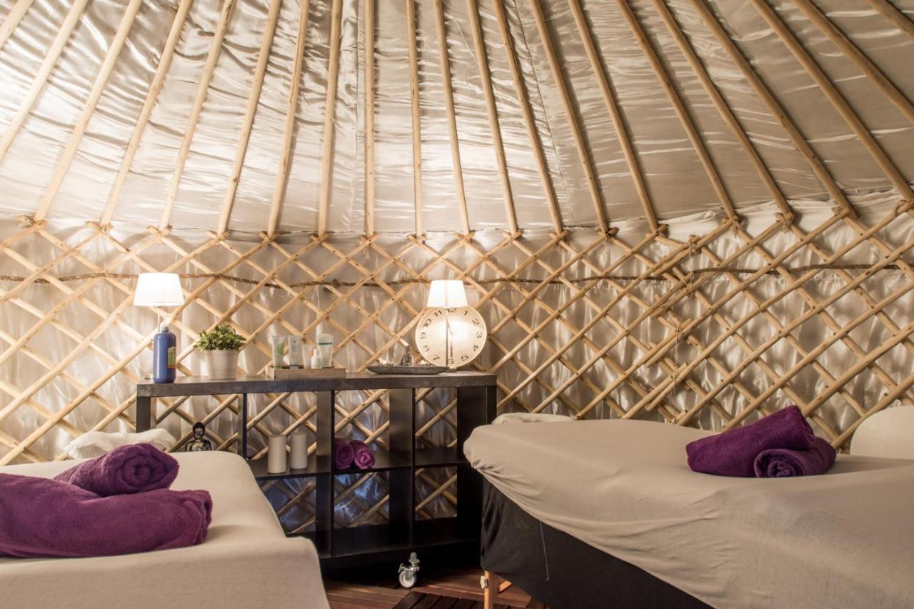 Yurtlife Bed & Breakfast Zaandam Exterior photo